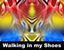 Walking in my Shoes