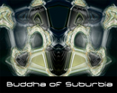 Buddha of Suburdia