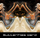 Butterflies Ward